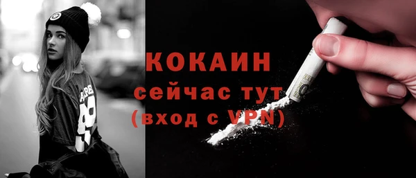 мдпв Богданович