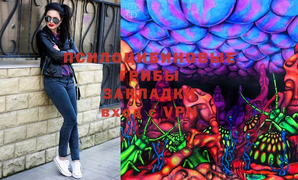мдпв Богданович