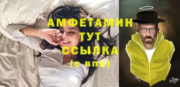 мдпв Богданович