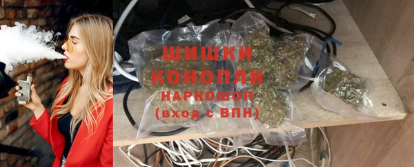 мдпв Богданович