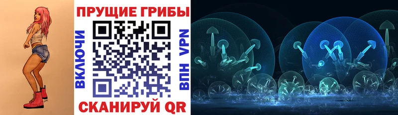 гидра ТОР где найти Гулькевичи Галлюциногенные грибы Cubensis